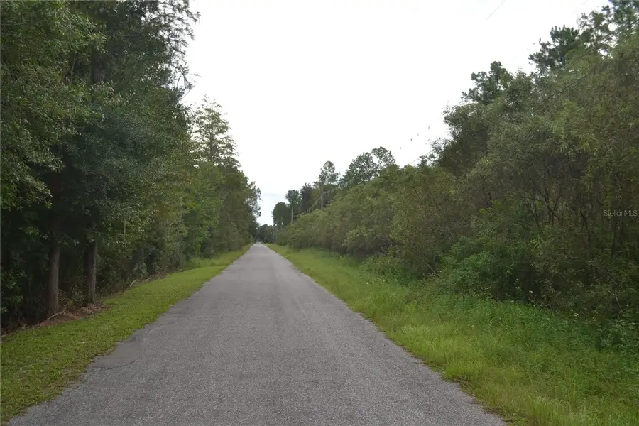 Deen Still Road W, Polk City, FL 33868 - #3