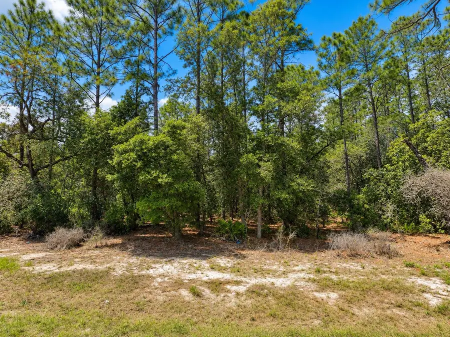 0 Sw 69th Court Road, Ocala, FL 34473 - #2