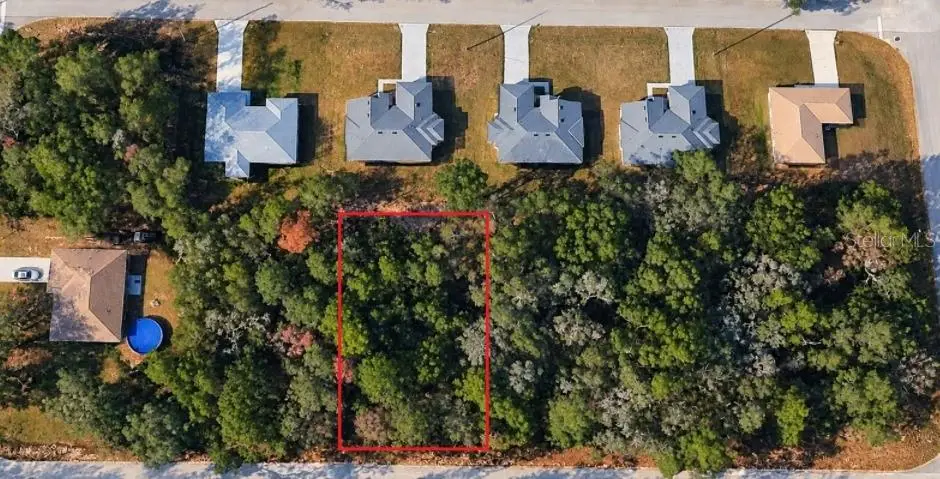 10578 N Allwood Terrace, Citrus Springs, FL 34434 - #1