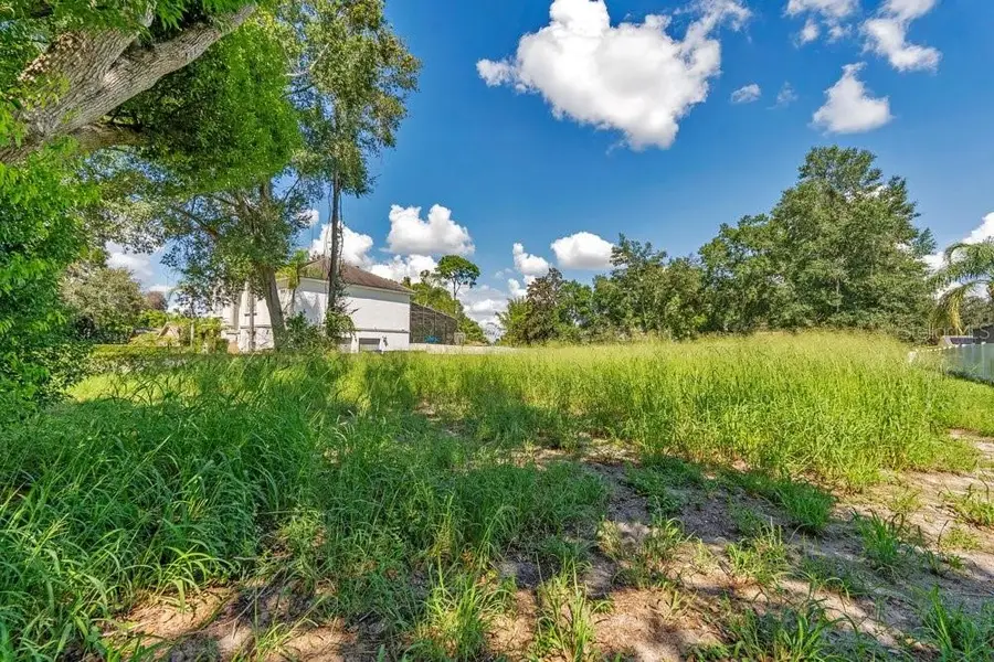 Dingens Avenue, Windermere, FL 34786 - #2
