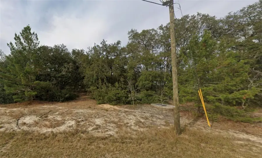 Fisher Way Course, Ocklawaha, FL 32179 - #3