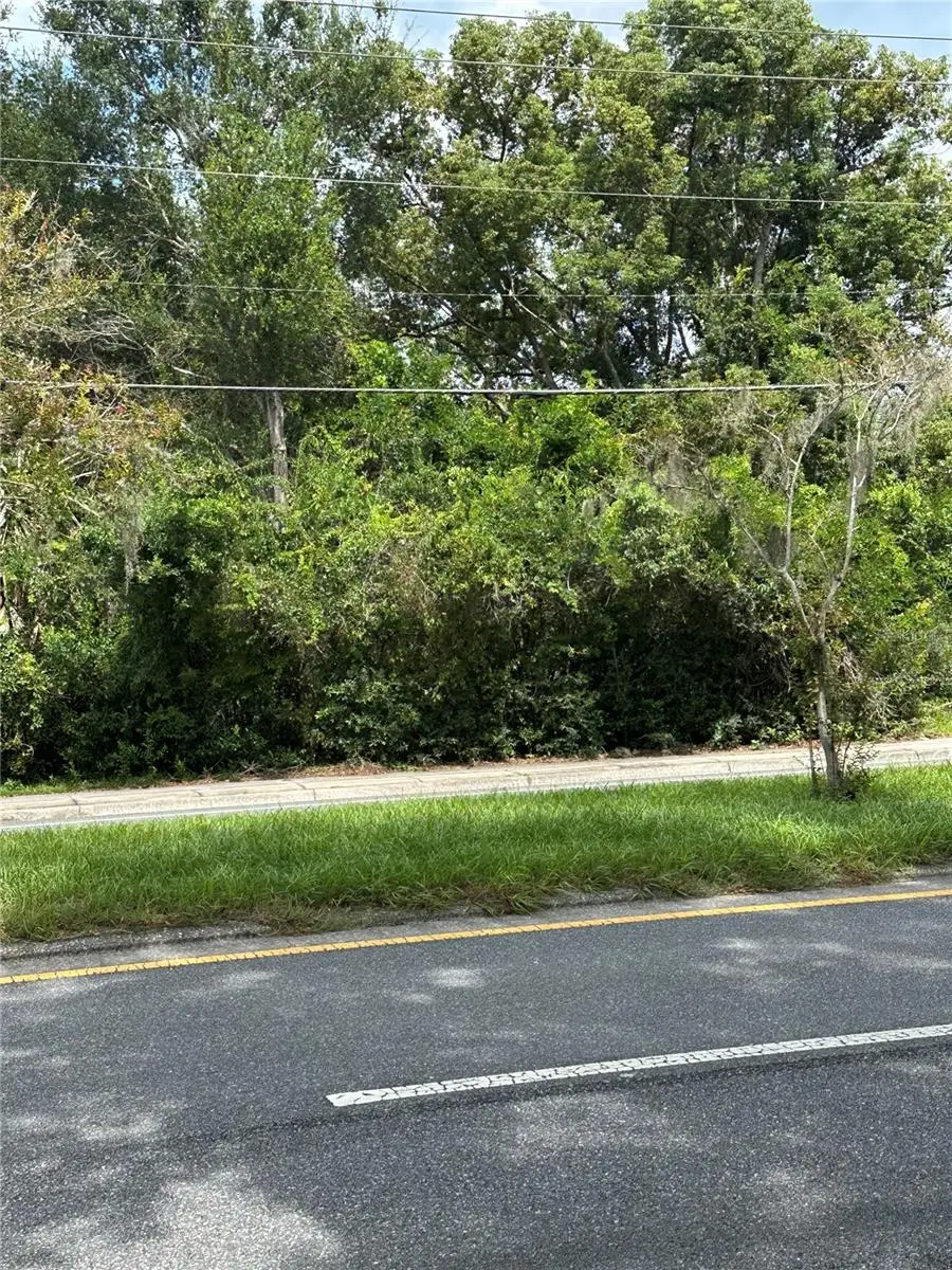 1337 Everitt Avenue, Panama City, FL 32401 - #1