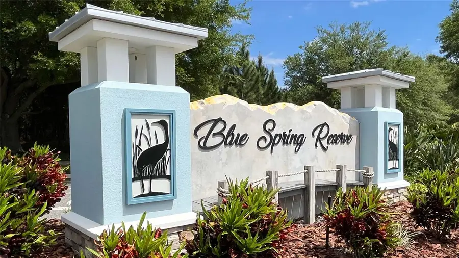185 Glass Onion Drive, Howey In The Hills, FL 34737 - #3