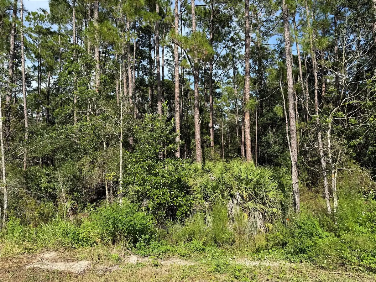 10th Avenue, Deland, FL 32724 - #1