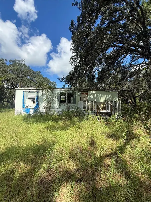 4770 SW 166th Court Road, OCALA, FL 34481