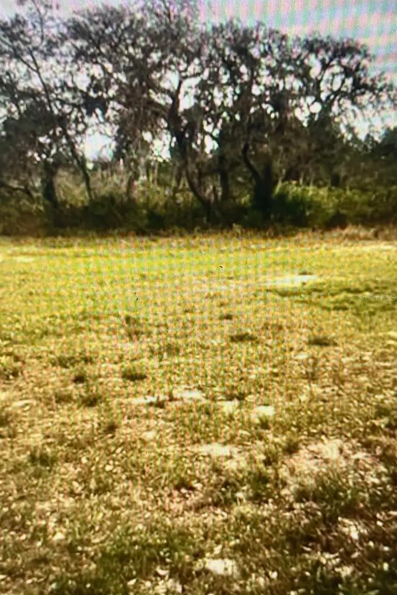 Central Avenue, Frostproof, FL 33843 - #1