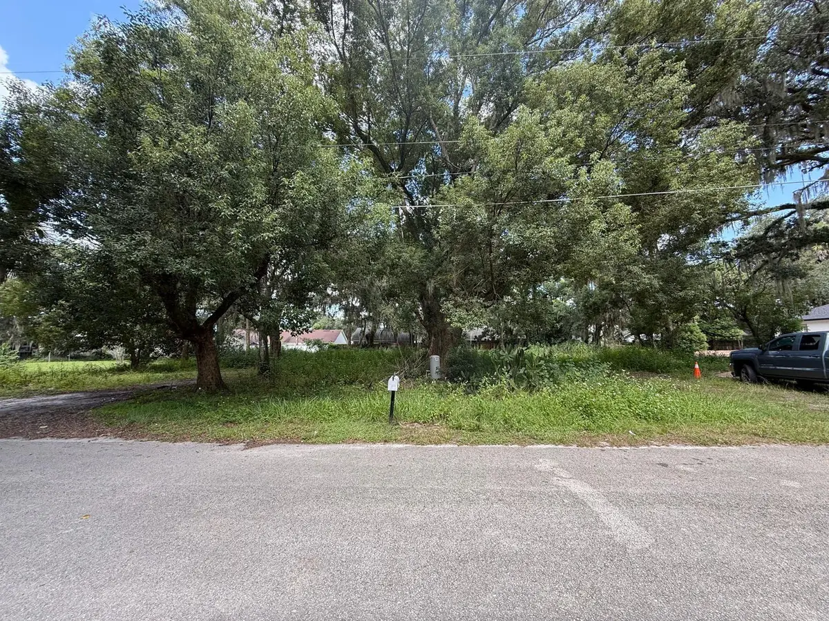226 Jones Avenue, Sanford, FL 32773 - #1