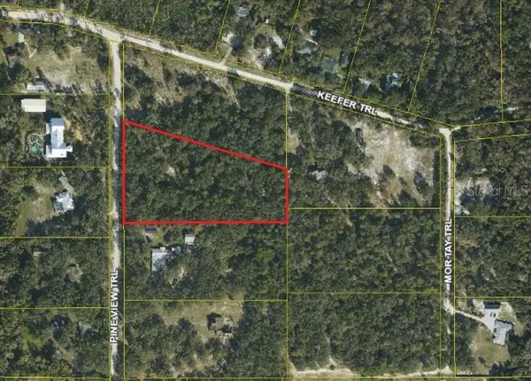465 Pine View Trail, KISSIMMEE, FL 34747