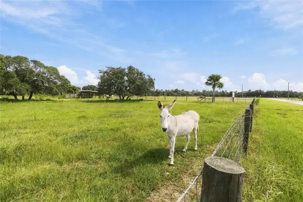 Ranch Road, ASTATULA, FL 34705