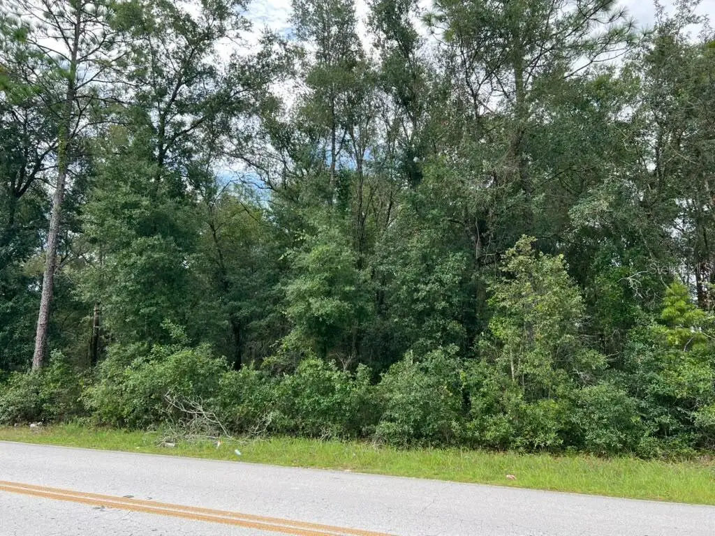 0 Se 132nd Pl Ocklawaha, Ocklawaha, FL 32179 - #1