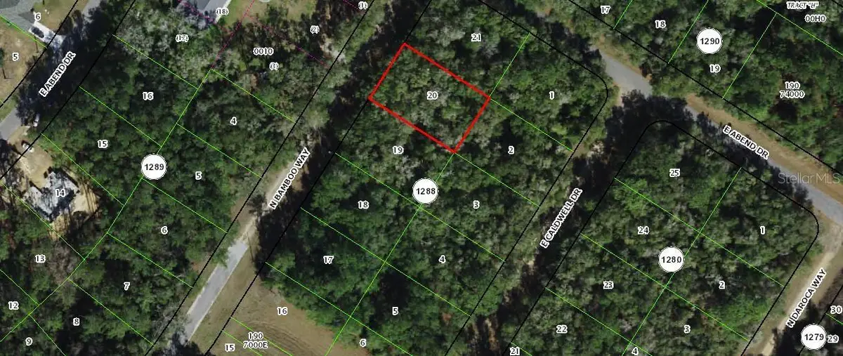 10075 N Bamboo Way, Citrus Springs, FL 34434 - #1