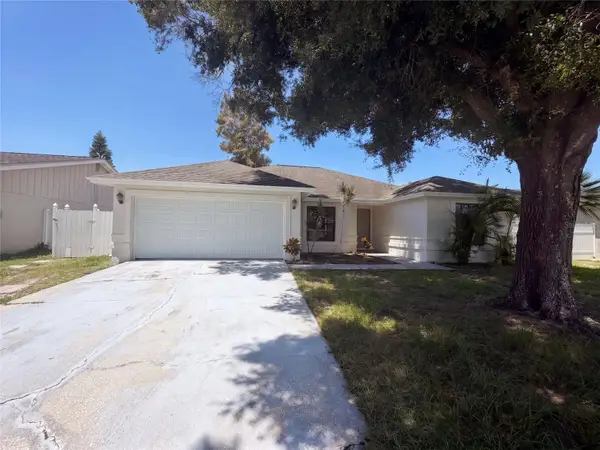 9507 Letterstone Court, TAMPA, FL 33615