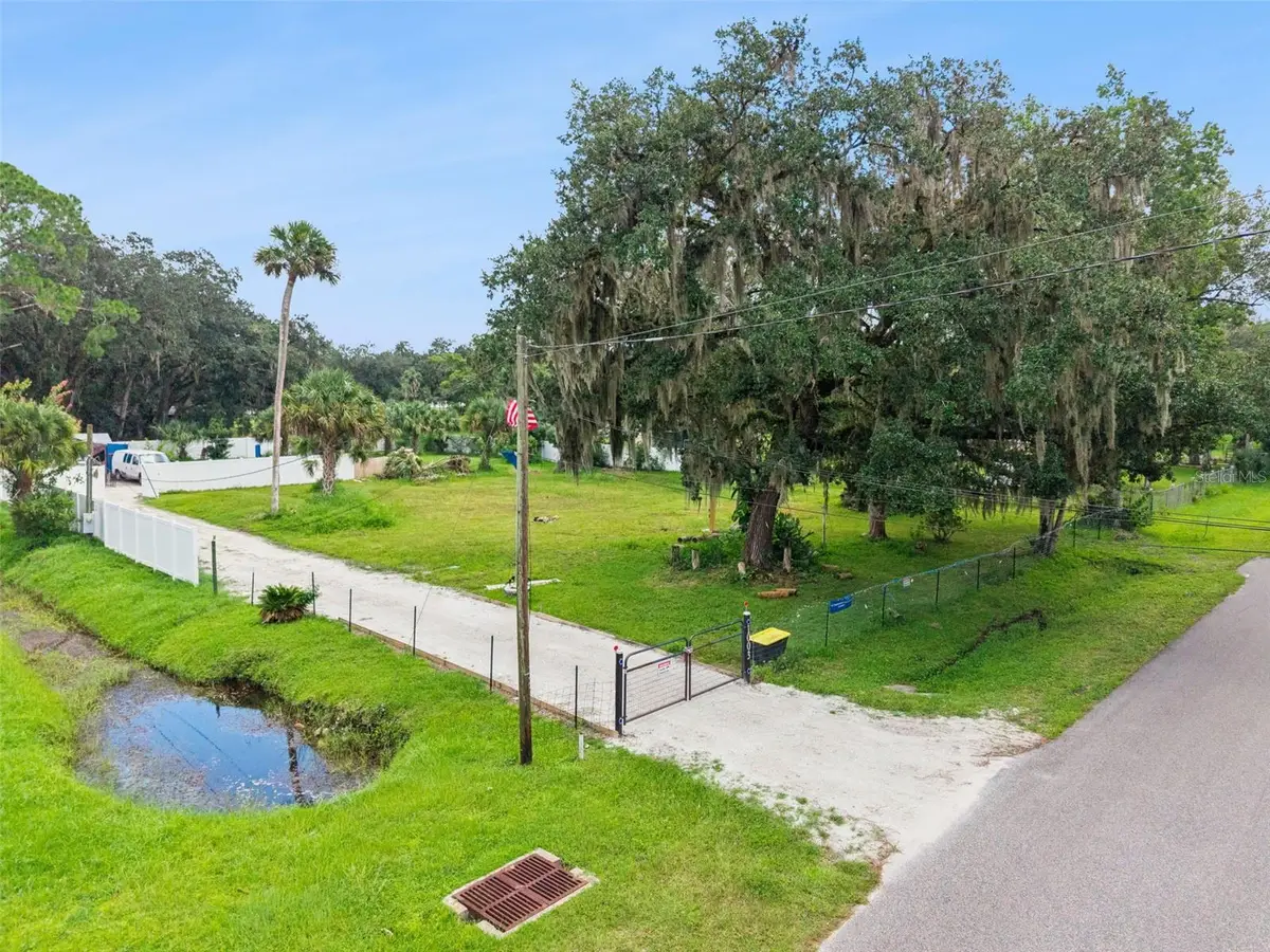 1003 Saint Catherine Avenue, Christmas, FL 32709 - #1