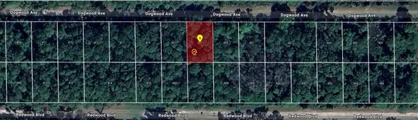 423 Dogwood Avenue, GEORGETOWN, FL 32139