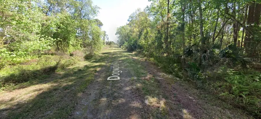 423 Dogwood Avenue, Georgetown, FL 32139 - #2