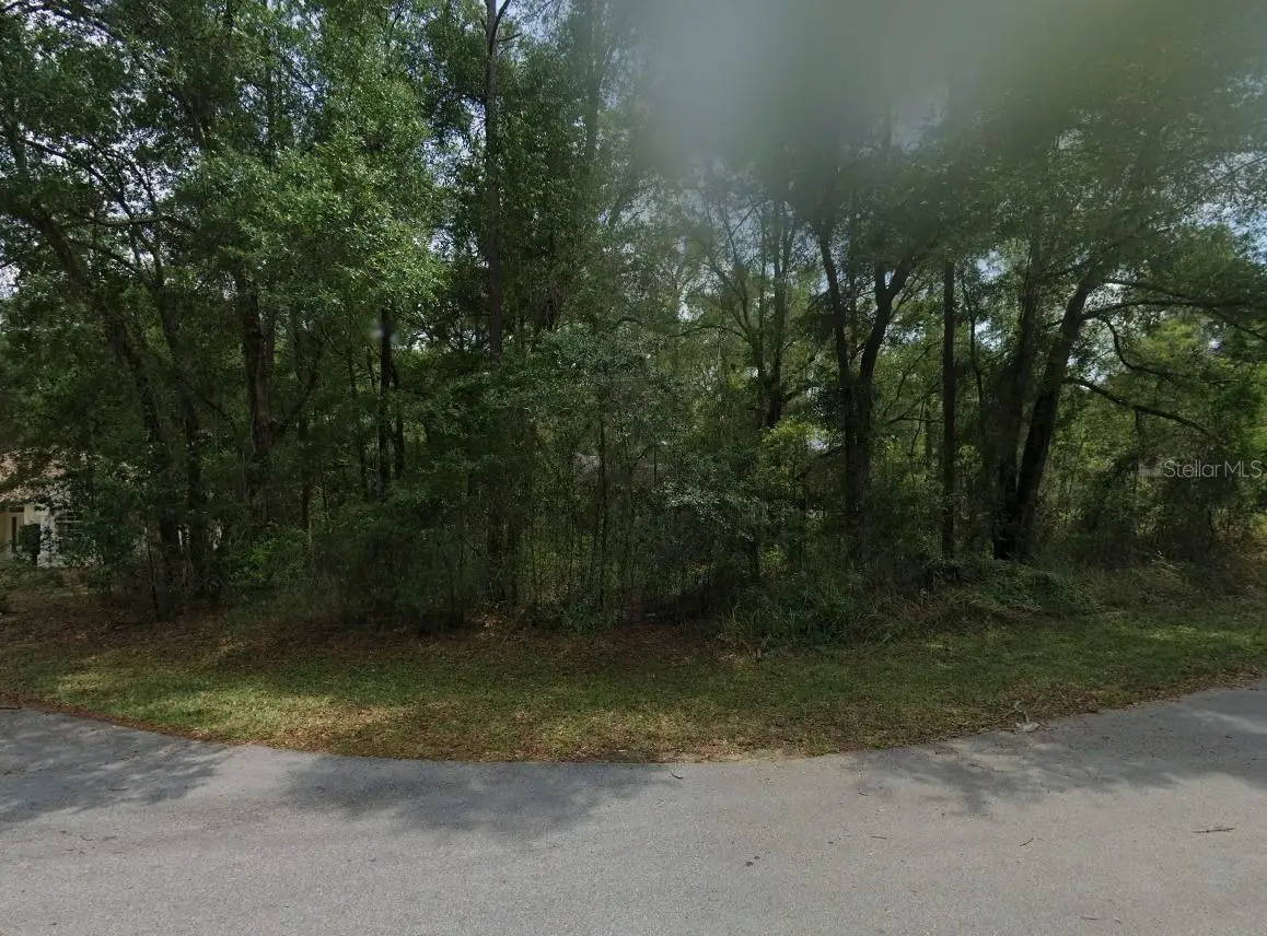 Lot 41 SW 96th Street, Dunnellon, FL 34432 - #1