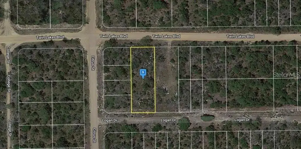 1137 Twin Lakes Boulevard, Interlachen, FL 32148 - #1