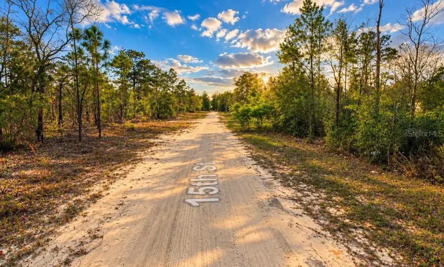 15th St, Interlachen, FL 32148 - #3