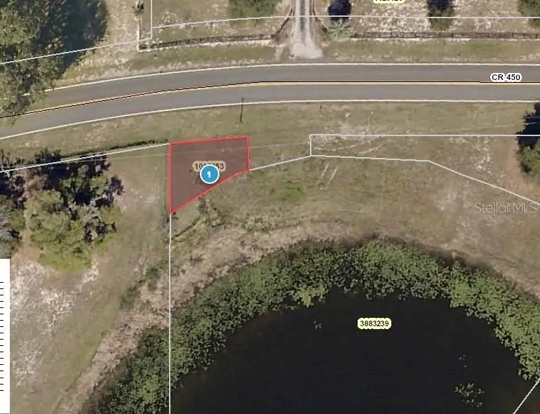 County Road 450, Umatilla, FL 32784 - #1