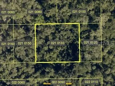 Santiago Street, ESTERO, FL 34134