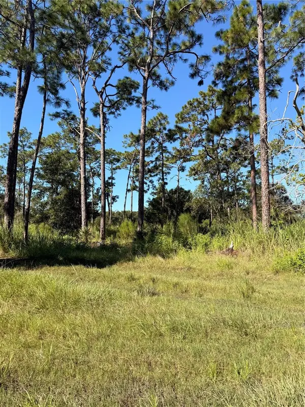 Pow Mia Memorial Drive, ST CLOUD, FL 34772