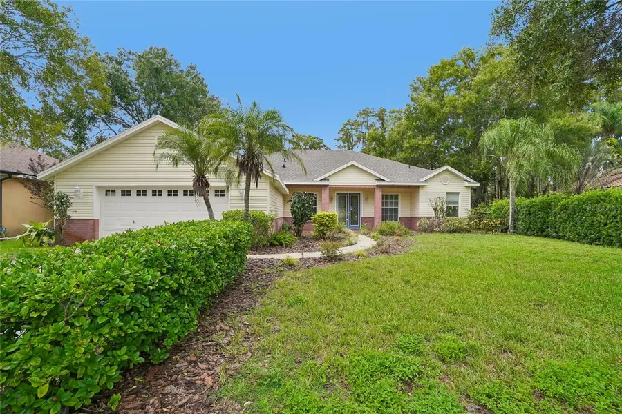 17718 Crystal Cove Place, Lutz, FL 33548 - #2