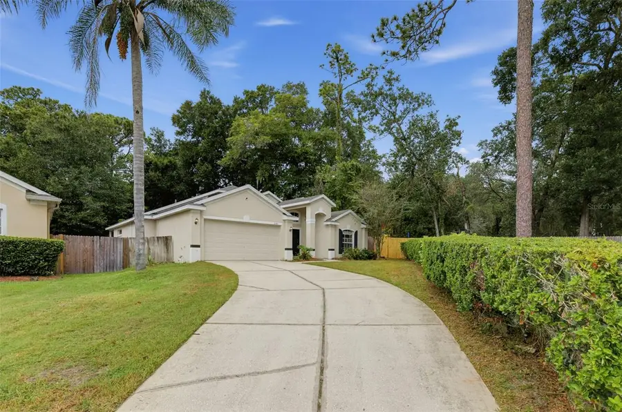 2361 Cimmaron Ash Way, Apopka, FL 32703 - #2