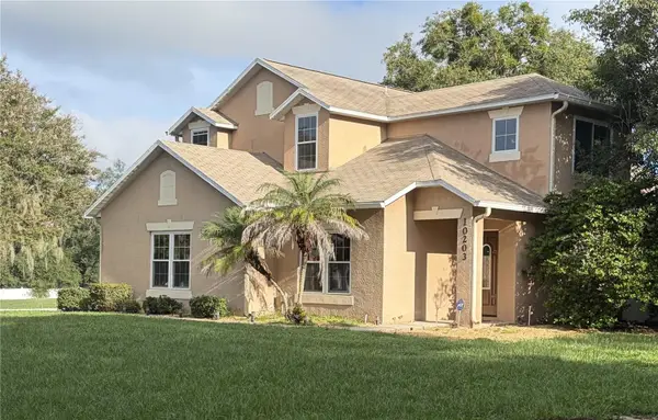 10203 Summer Elm Avenue, CLERMONT, FL 34711