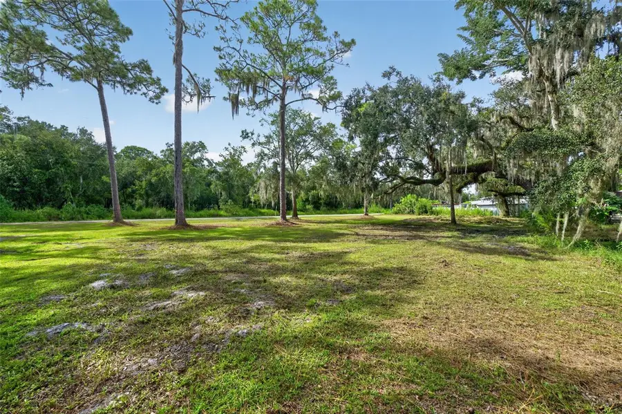 Swamp Lane, Geneva, FL 32732 - #2