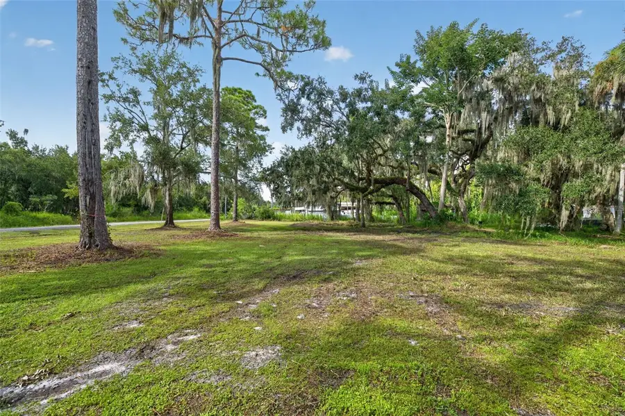Swamp Lane, Geneva, FL 32732 - #3
