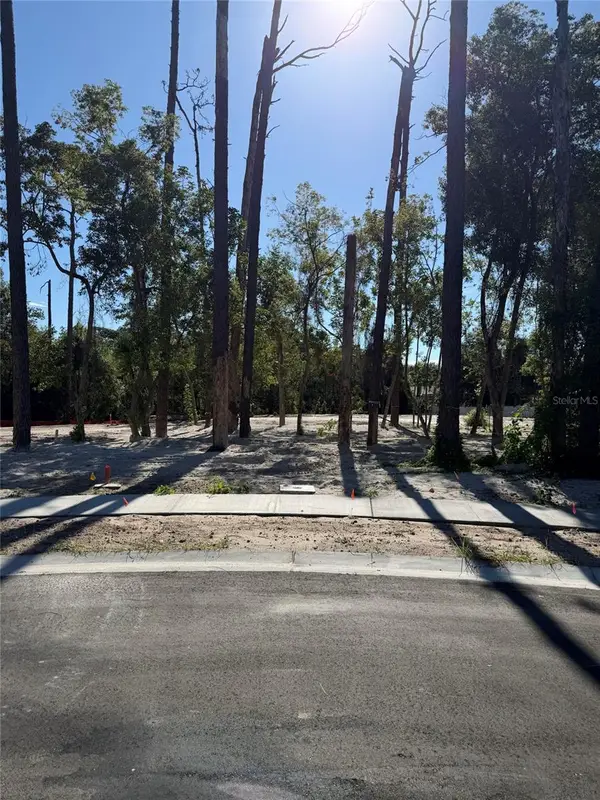 1302 Almaria Court, PALM HARBOR, FL 34683