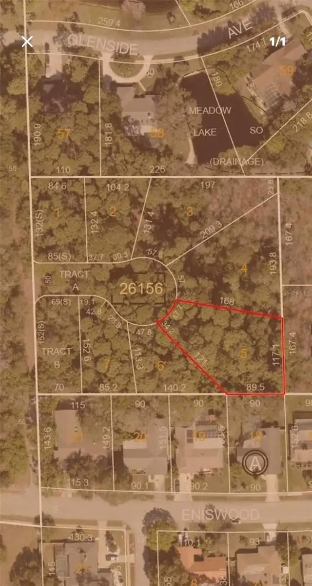 1302 Almaria Court, Palm Harbor, FL 34683 - #2