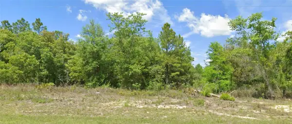 6603 N Bedstrow Boulevard, CITRUS SPRINGS, FL 34434