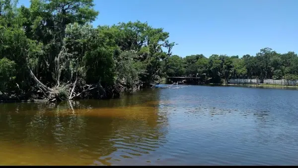 1041 Lemon Bluff Road, OSTEEN, FL 32764