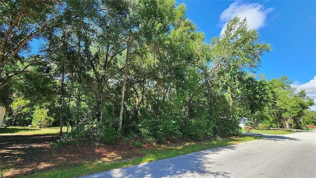 1509 Keats Street, Inverness, FL 34450 - #1