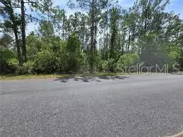 000 W Bluebell Avenue, EUSTIS, FL 32736