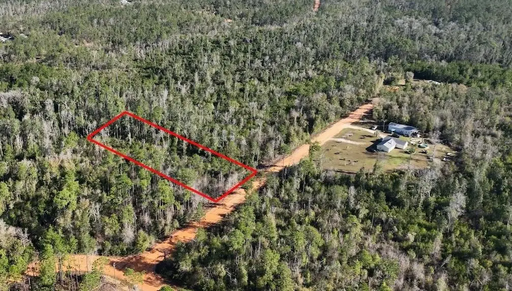 Bienville Court, Alford, FL 32420 - #1
