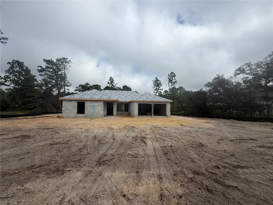 4119 W Firewood Loop, Citrus Springs, FL 34433 - #3