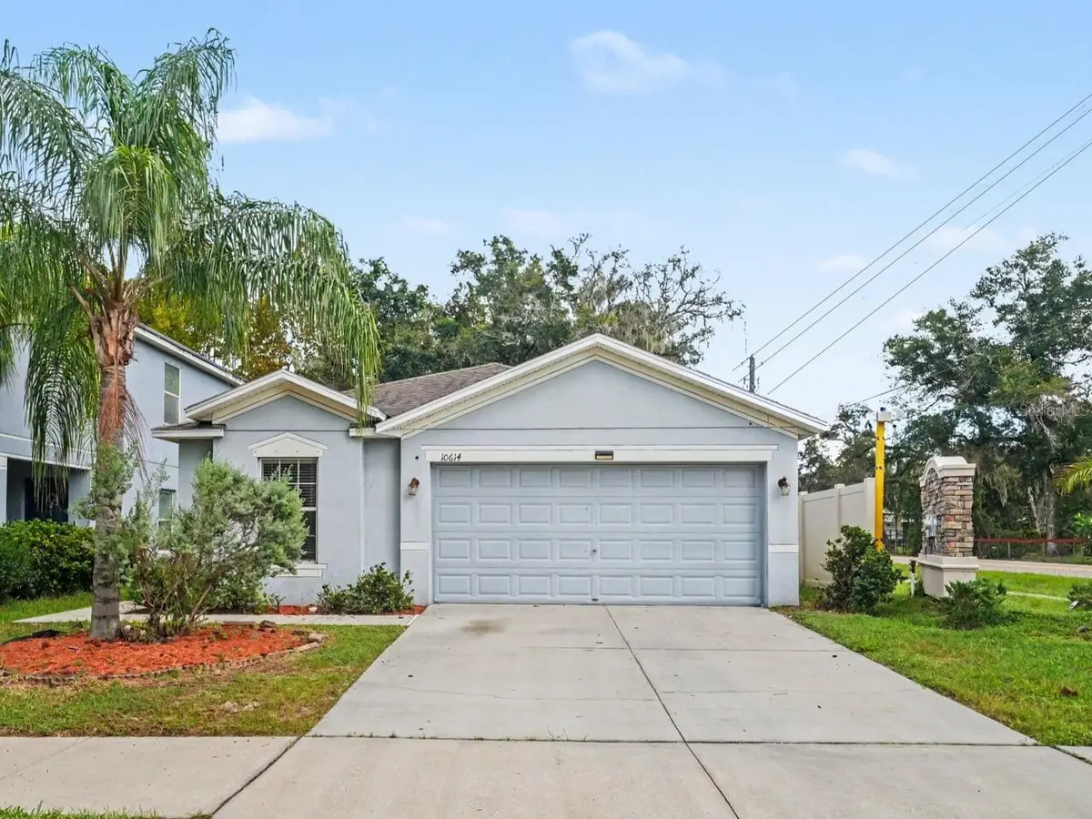 10614 Summer Azure Drive, Riverview, FL 33578 - #1