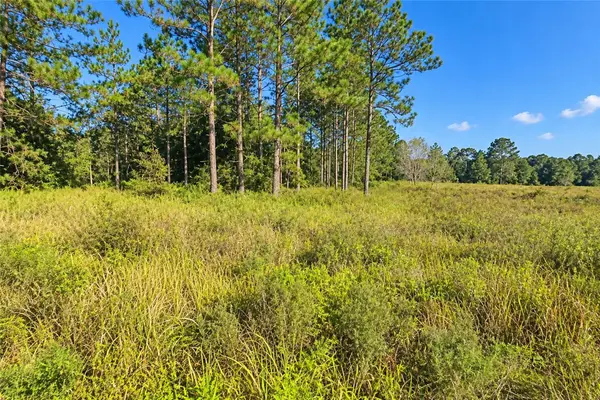 Sw 26th Lane, OCALA, FL 34481