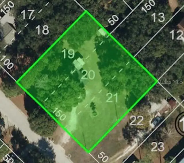 3159 Duane Avenue, Oldsmar, FL 34677 - #1