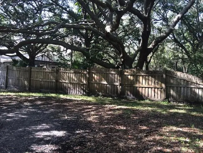 3159 Duane Avenue, Oldsmar, FL 34677 - #3