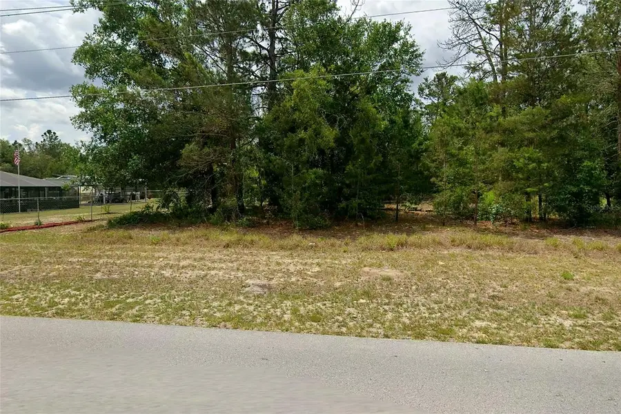 Sw Rainbow Lakes Boulevard , Fl, Dunnellon, FL 34431 - #3