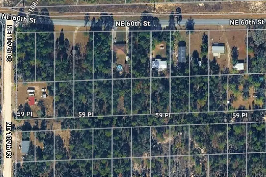 Ne 59th Place, Bronson, FL 32621 - #2