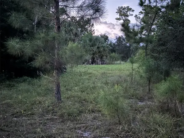 30735-30745 Devon Court, EUSTIS, FL 32736