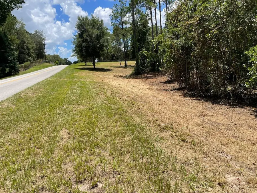 Calhoun Road, Eustis, FL 32726 - #2