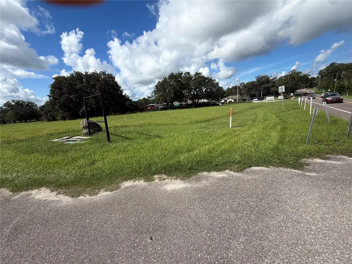 Laura Street, Sorrento, FL 32776 - #1
