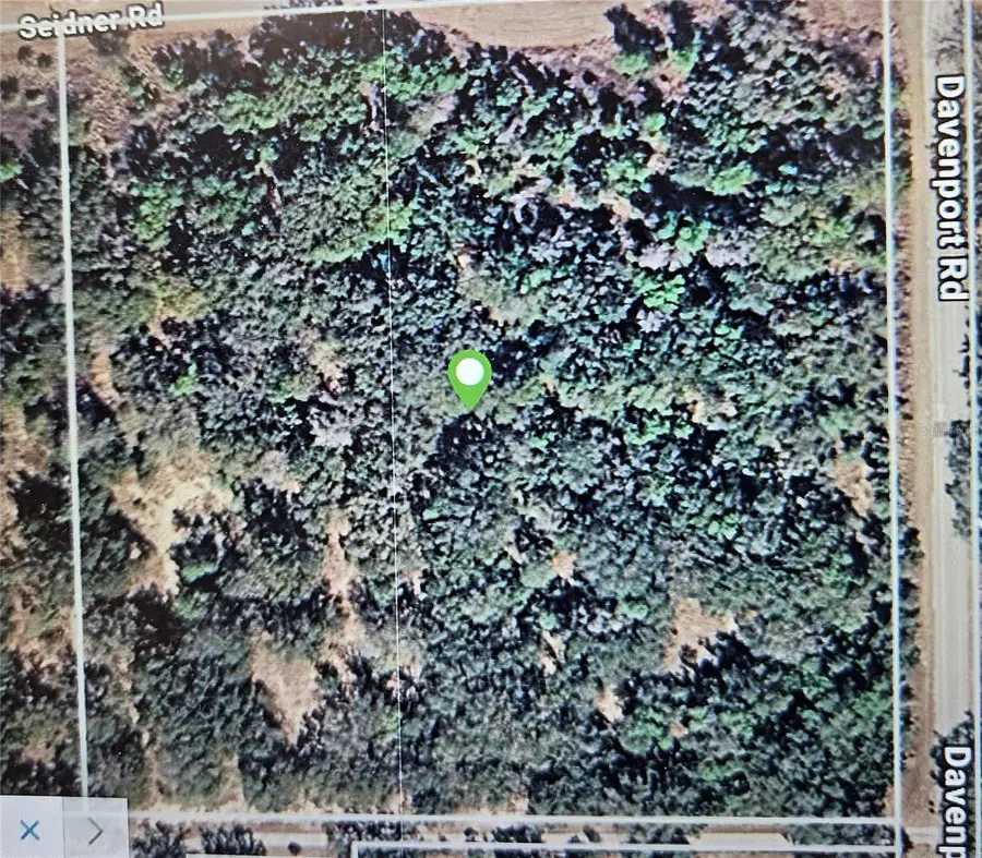 17701 Seidner Road, Winter Garden, FL 34787 - #2