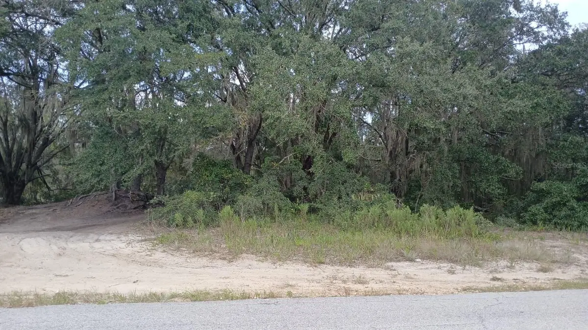 SE Malauka Loop Run Road, Ocklawaha, FL 32179 - #1