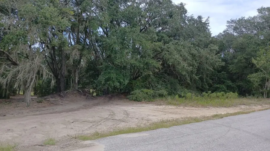 SE Malauka Loop Run Road, Ocklawaha, FL 32179 - #2